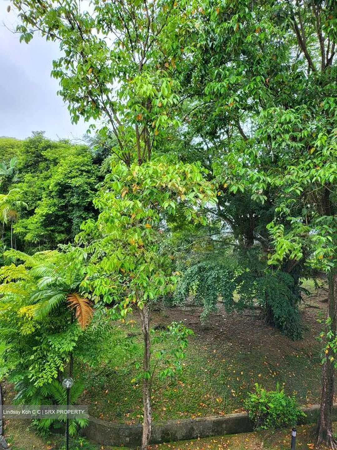 Oxley Garden (D9), Apartment #500944241